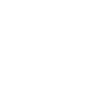 spot logo mark